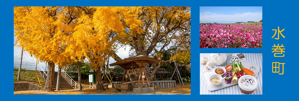 糸田町